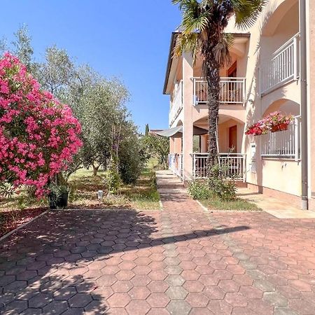 شقة Viola Three Novigrad Istria المظهر الخارجي الصورة