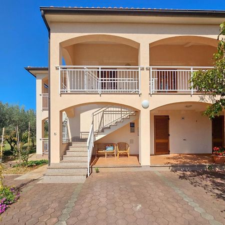 شقة Viola Three Novigrad Istria المظهر الخارجي الصورة