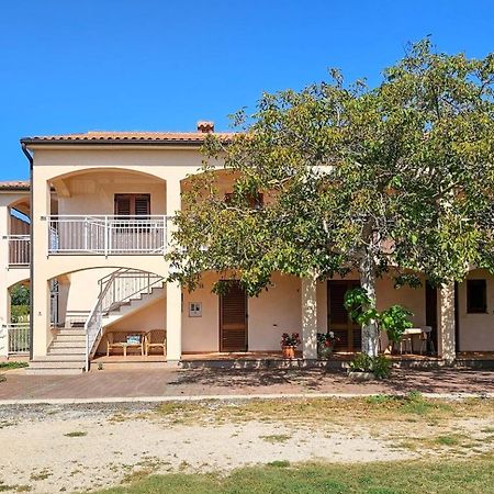 شقة Viola Three Novigrad Istria المظهر الخارجي الصورة
