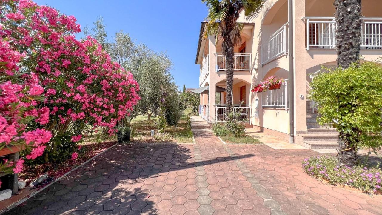 شقة Viola Three Novigrad Istria المظهر الخارجي الصورة