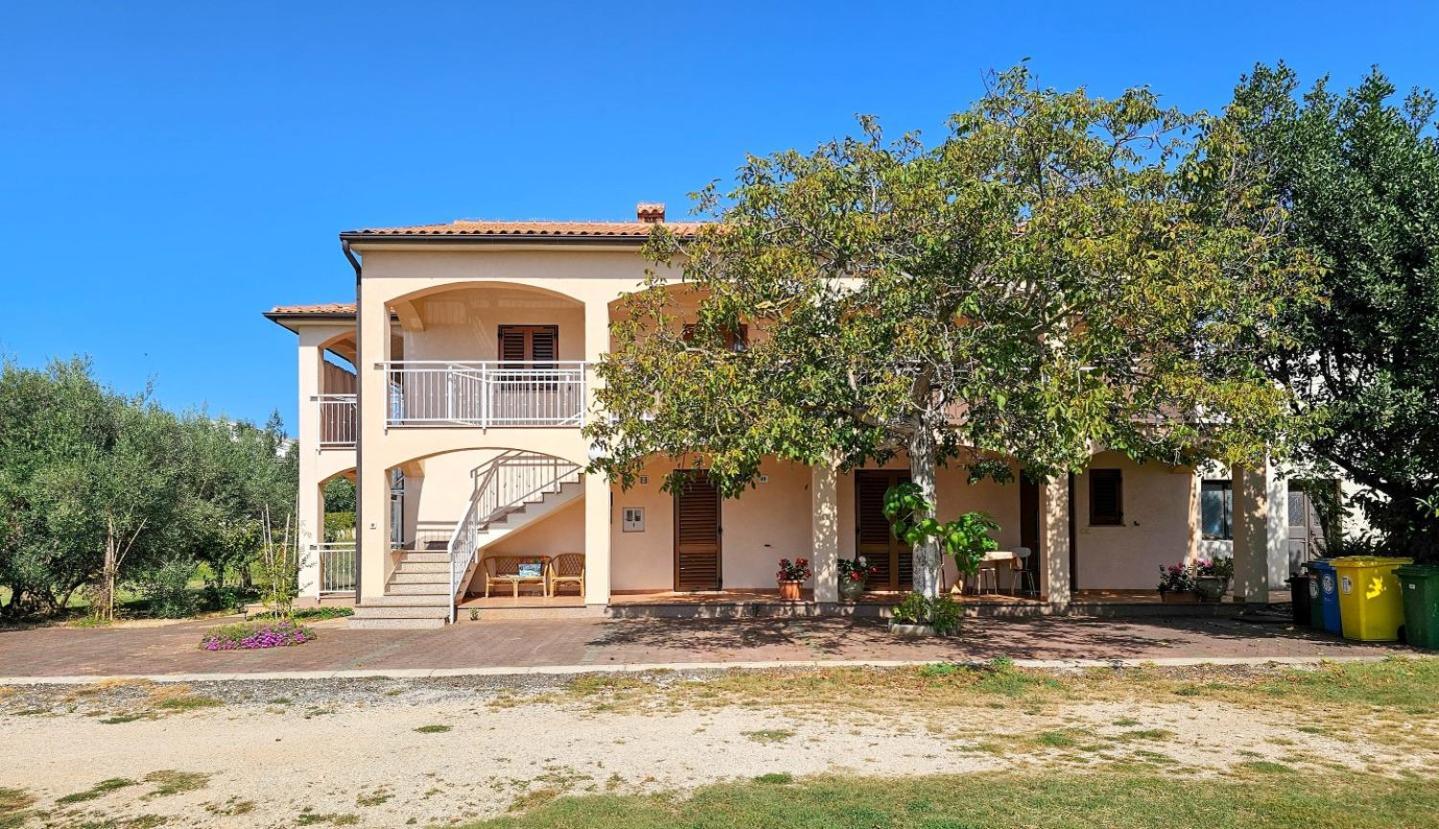 شقة Viola Three Novigrad Istria المظهر الخارجي الصورة